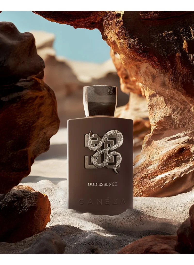 كانيزا كانيزا عود إيسنس أو دو بارفان – عطر عود فاكهي دافئ بنفحات الزعفران والفانيليا والبنزوين | عطر عصري للجنسين يدوم طويلاً | 100 مل